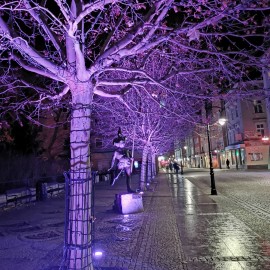 powiększ zdjęcie: Legnica świeci najpiękniej na Dolnym Śląsku. Teraz wygrajmy w kraju