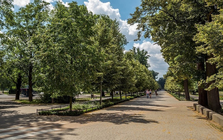 Możemy wejść do parków, na skwery, odwiedzić cmentarze