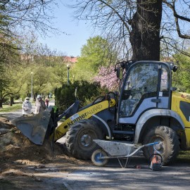 powiększ zdjęcie: Rewitalizacja fontann w parku Miejskim. Zobacz jak przebiegają prace