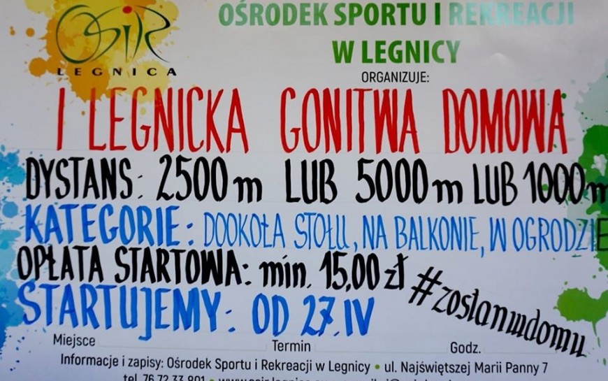 Legnicka Gonitwa Domowa. Pobiegnij i wspomóż legnicki szpital