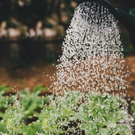 Zabezpiecz gospodarstwo przed suszą, złóż wniosek o dotację
