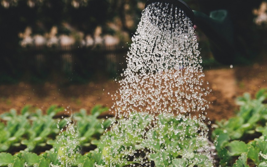 Zabezpiecz gospodarstwo przed suszą, złóż wniosek o dotację