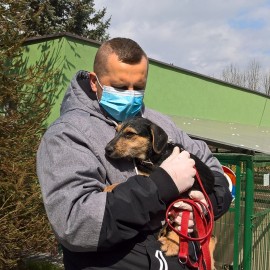 Zwierzaki z legnickiego schroniska potrzebują kochających domów