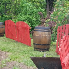 powiększ zdjęcie: Legnickie mini zoo opanowały królewskie pawie