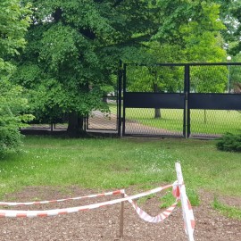 powiększ zdjęcie: Legnickie mini zoo opanowały królewskie pawie