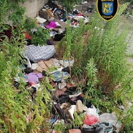 powiększ zdjęcie: Miasto szuka partnera do likwidacji dzikich wysypisk
