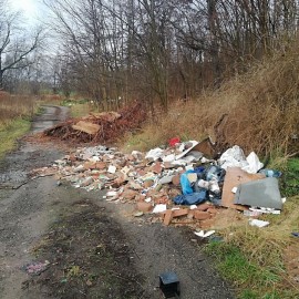 powiększ zdjęcie: Miasto szuka partnera do likwidacji dzikich wysypisk