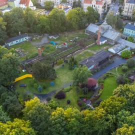 Przekazano plac budowy firmie, która przywróci palmiarni blask