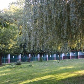 LBO 2020. Zakupy dla legnickiego schroniska. Miasto ogłosiło przetarg