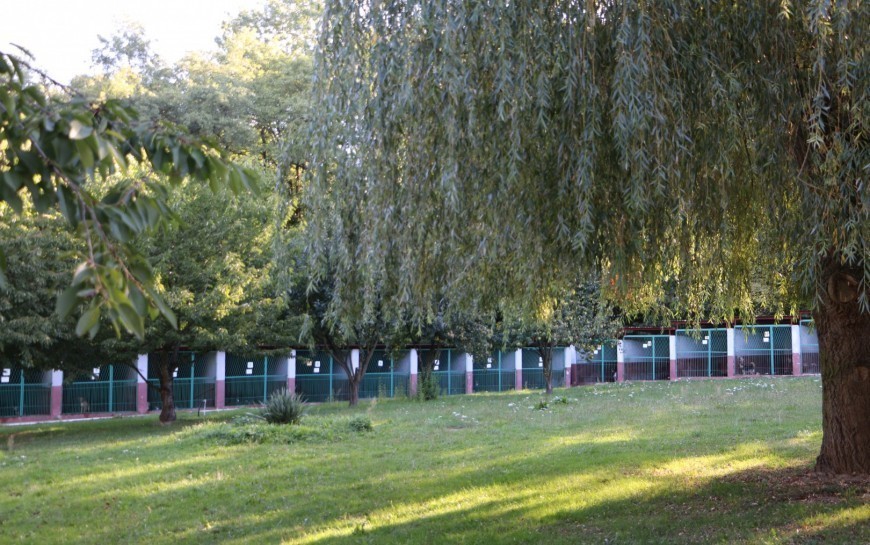 LBO 2020. Zakupy dla legnickiego schroniska. Drugi przetarg