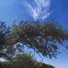 powiększ zdjęcie: Lato legnickich seniorów. Zobacz nagrodzone zdjęcia