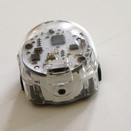 powiększ zdjęcie: Kodowanie i robotyka w przedszkolu? W Legnicy już to mamy