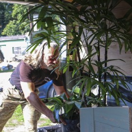 powiększ zdjęcie: Podarowaliśmy egzotyczne rośliny z palmiarni legnickiemu szpitalowi