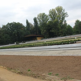 powiększ zdjęcie: Rozpoczęło się sadzenie krzewów i kwiatów w części francuskiej parku