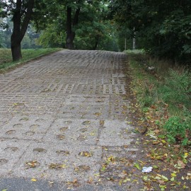powiększ zdjęcie: Firma Pol-Dróg wygrała przetarg na modernizację wejścia do parku