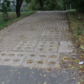 Firma Pol-Dróg wygrała przetarg na modernizację wejścia do parku