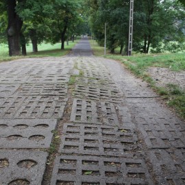 powiększ zdjęcie: Firma Pol-Dróg wygrała przetarg na modernizację wejścia do parku