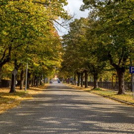Legnicka Jesień Miedziana. Zrób zdjęcie, napisz wiersz,  namaluj obraz