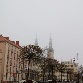 powiększ zdjęcie: Tysiąc chryzantem ozdobi nasze miasto. Już są ustawiane