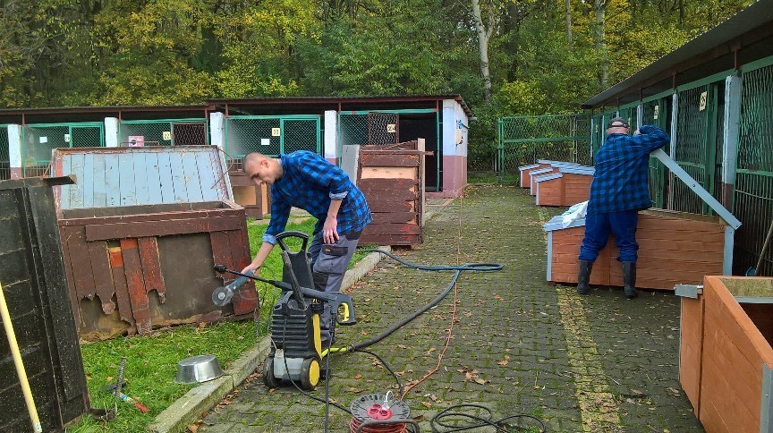 LBO 2020. Ocieplane budy dla piesków już w schronisku