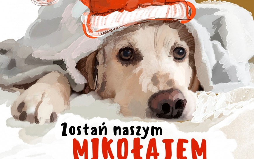 Zostań Mikołajem dla bezdomniaków z legnickiego schroniska