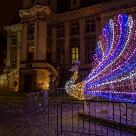 powiększ zdjęcie: Zagłosuj na Legnicę w plebiscycie Świeć się z Energą