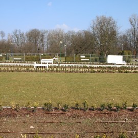 powiększ zdjęcie: Zobacz jak przebiega rewitalizacja fontann w parku Miejskim