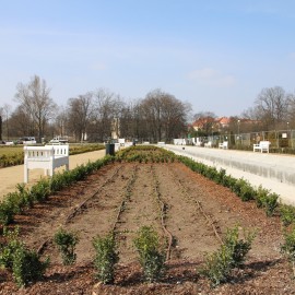 powiększ zdjęcie: Zobacz jak przebiega rewitalizacja fontann w parku Miejskim