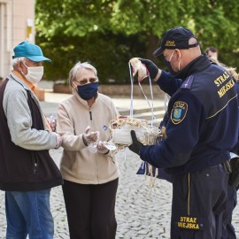 Straż Miejska w statystyce. Ponad 7 tysięcy 200 interwencji