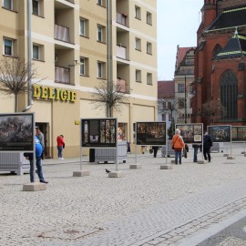 powiększ zdjęcie: Zapraszamy na plenerową wystawę w Rynku z okazji 780 rocznicy Bitwy pod Legnicą