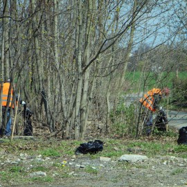 Bezrobotni sprzątają miasto. Dwa razy w tygodniu zbierają nawet tonę odpadów
