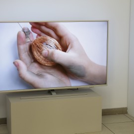powiększ zdjęcie: W kolejny piątek po wystawach oprowadzają nas „srebrni” kuratorzy