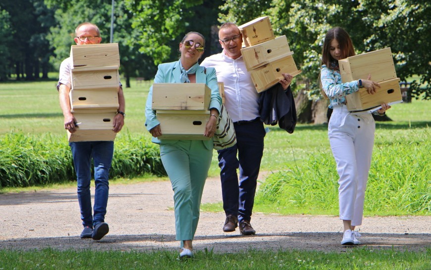 Jerzyki kontra komary. Legnica stawia na aktywną ekologię