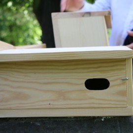 powiększ zdjęcie: Jerzyki kontra komary. Legnica stawia na aktywną ekologię