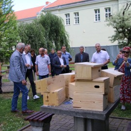 powiększ zdjęcie: Jerzyki kontra komary. Legnica stawia na aktywną ekologię