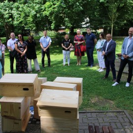 powiększ zdjęcie: Jerzyki kontra komary. Legnica stawia na aktywną ekologię