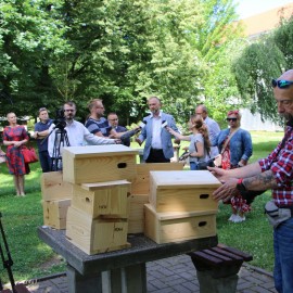 powiększ zdjęcie: Jerzyki kontra komary. Legnica stawia na aktywną ekologię