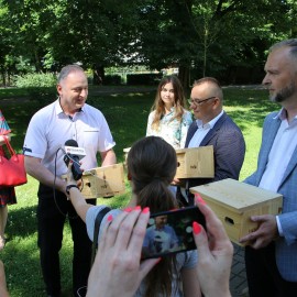 powiększ zdjęcie: Jerzyki kontra komary. Legnica stawia na aktywną ekologię