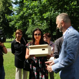 powiększ zdjęcie: Jerzyki kontra komary. Legnica stawia na aktywną ekologię