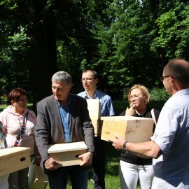powiększ zdjęcie: Jerzyki kontra komary. Legnica stawia na aktywną ekologię