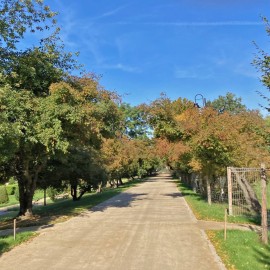 Wkrótce kolejne alejki w parku będą gotowe