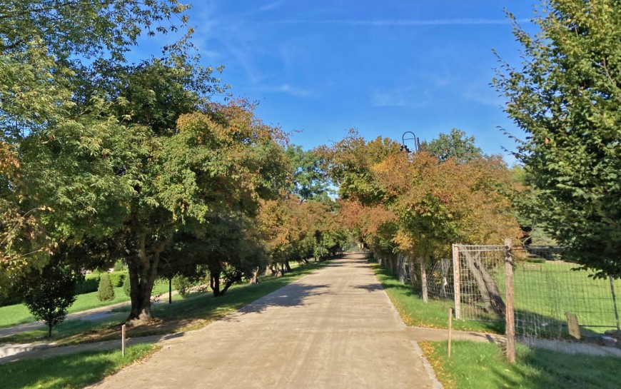 Wkrótce kolejne alejki w parku będą gotowe