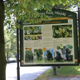 powiększ zdjęcie: Przyrodnicza ścieżka edukacyjna w nowej szacie. Poznaj jej atrakcyjne walory