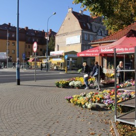 Sprawdź, jak dojechać autobusem na cmentarz w dniu Wszystkich Świętych
