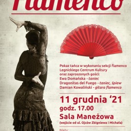 Przyjdź na fantastyczny pokaz flamenco. Poczujesz ogień w sercu