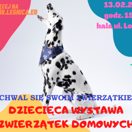 powiększ zdjęcie: Pochwal się swoim zwierzątkiem w niedzielę w hali przy ul. Lotniczej