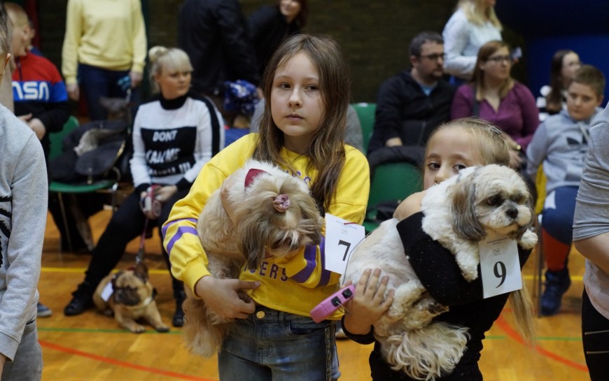 Pochwal się swoim zwierzątkiem w niedzielę w hali przy ul. Lotniczej