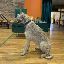 powiększ zdjęcie: Ferie z OSiR-em. Świetnie bawiło się i wypoczywało kilka tysięcy dzieci