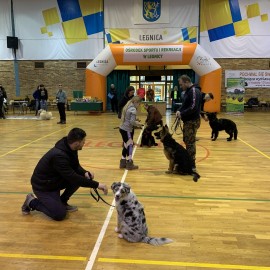 powiększ zdjęcie: Ferie z OSiR-em. Świetnie bawiło się i wypoczywało kilka tysięcy dzieci