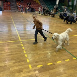 powiększ zdjęcie: Ferie z OSiR-em. Świetnie bawiło się i wypoczywało kilka tysięcy dzieci